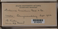 Image Associated With the Occurrence